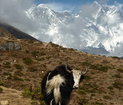 Camp de base de L'Everest depuis Jiri